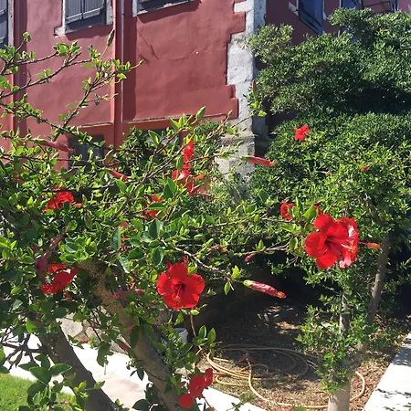 Oasis Guesthouse-2