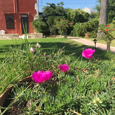 Oasis Guesthouse-3