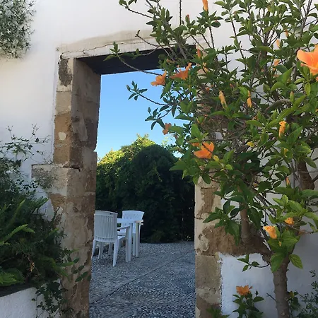Oasis Guesthouse-2