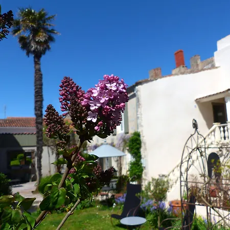 La Maison Douce-3