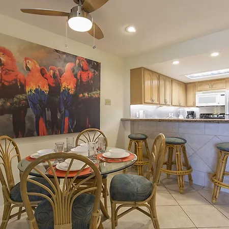 Bahia Mar By Padre Island Rentals-2