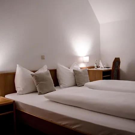 Hotel Blaue Traube-2