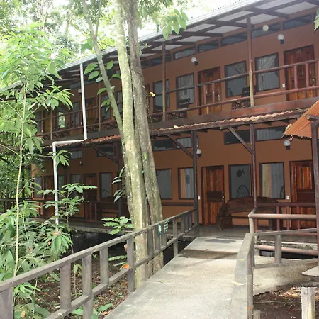 Rana Roja Lodge-2