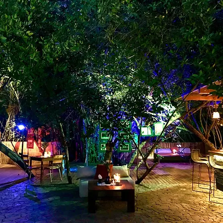 Hotel Noga-2