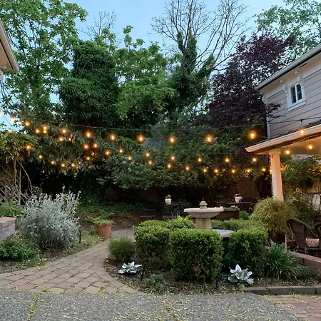 Mccall House Boutique Hotel-2