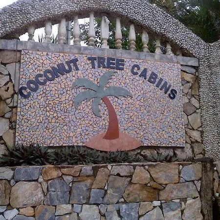 Coconut Tree West End-3