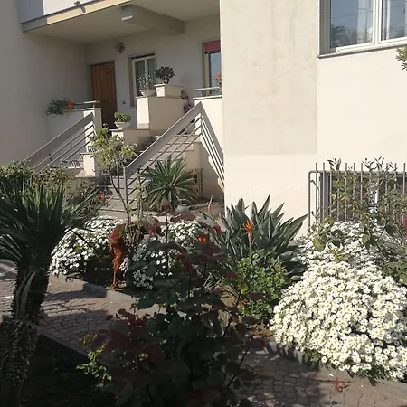 Area Domus-2