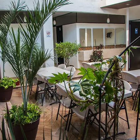 Hostal Gayser-2
