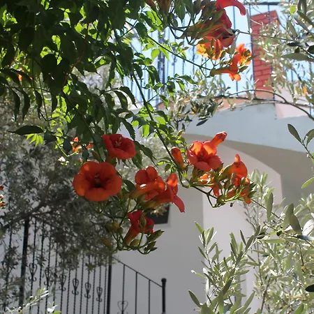 Lizo Hotel-3