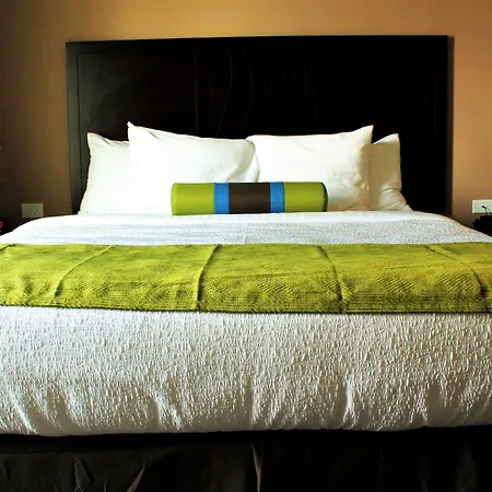 Best Western Plus Denver City Hotel & Suites-3