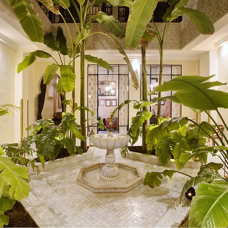 Riad Kheirredine-3