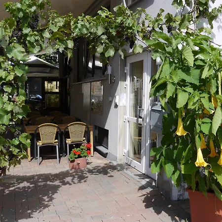 Hotel Pinger-3