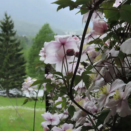 B&B Pranzaira, Strada Cantonale 211, Vicosoprano-2