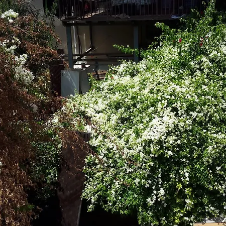 Daher Guest House Nazareth-2