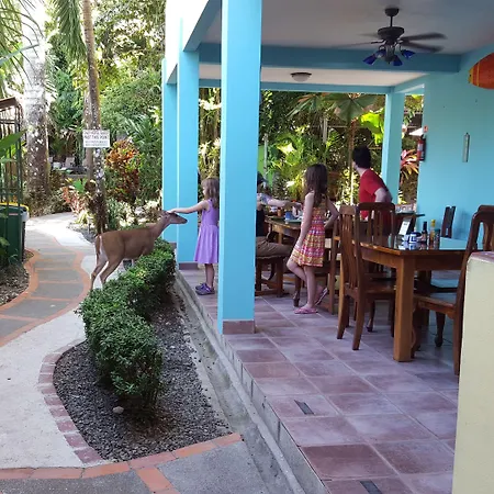 La Posada Jungle Hotel-3