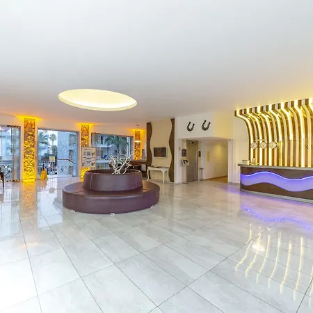 Alenz Suite-2