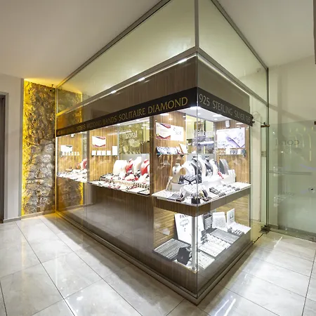 Alenz Suite-2