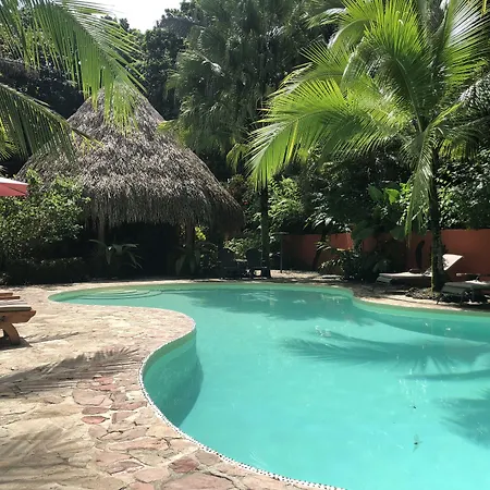 Hotel El Pequeno Gecko Verde-2
