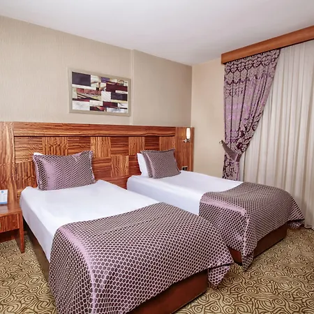 Adana Garden Business Hotel-2