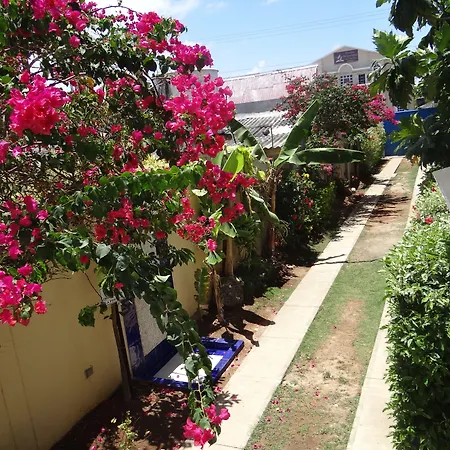 Summer House Inn San Andres-2