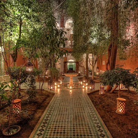 Riad Kaiss By Anika-2