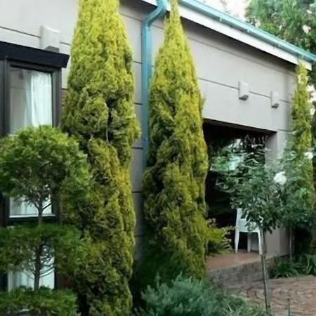 Primavera Guest House-2