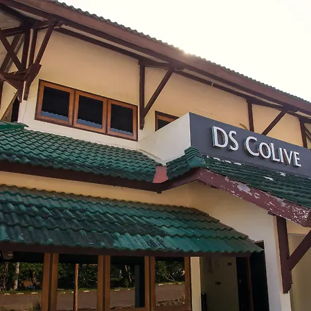 Ds Colive Marina Airport-3