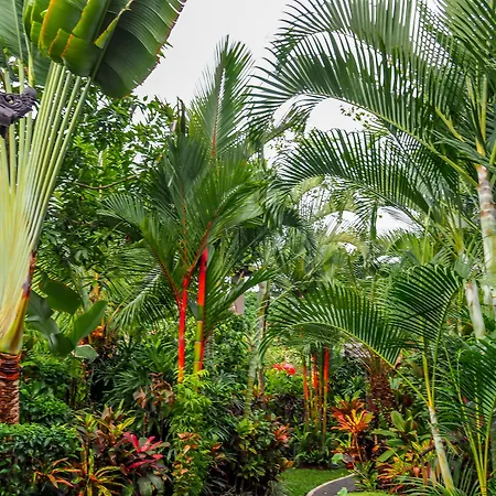 Devi'S Place Ubud-2