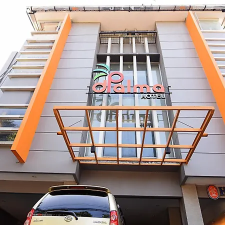 Dpalma Hotel-2