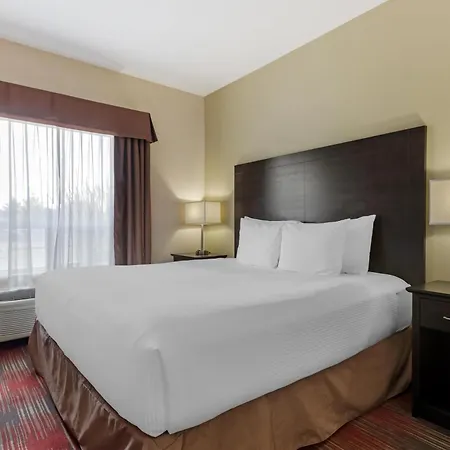 Best Western Plus Red Deer Inn & Suite-2