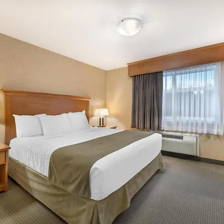 Best Western Sicamous Inn-3