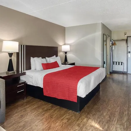 Surestay By Best Western Greenville-3
