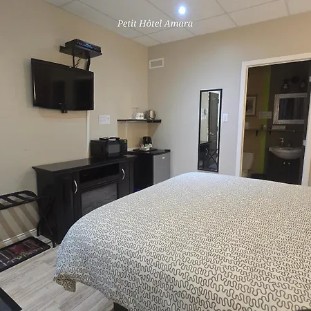 Petit Hotel Amara-2