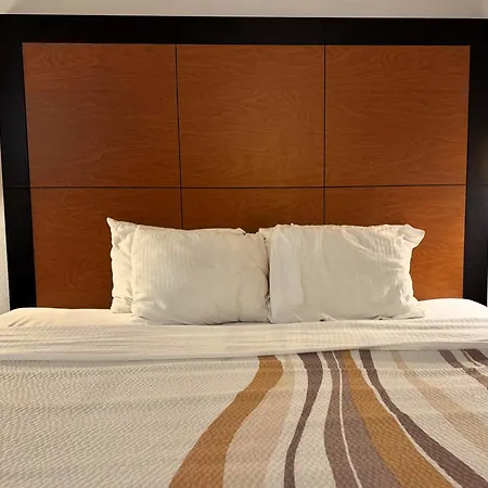 Baymont By Wyndham Meridian-2