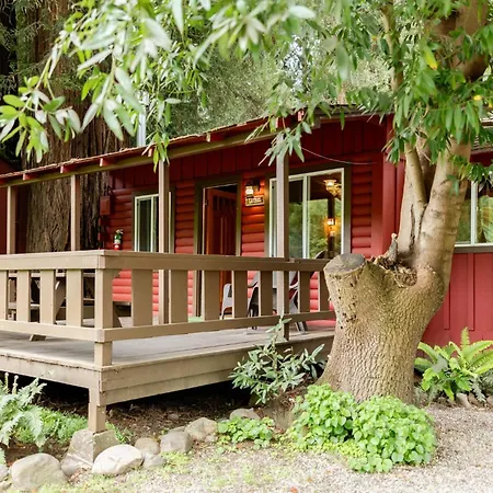 Fern River Resort-2