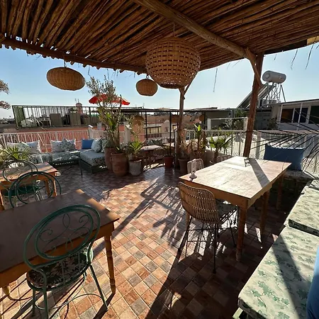 Riad Green Vines-3