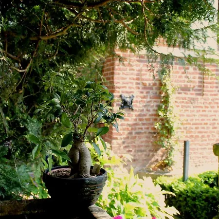 Comme une parenthèse au coeur des hortillonnages-2