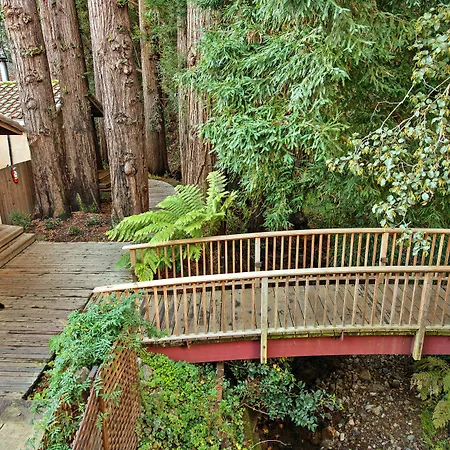 Mill Valley Inn-2