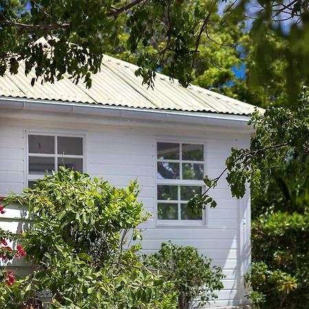 Gyp Sea Saint Barth-2