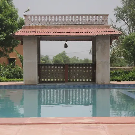 Sariska Tiger Camp-2