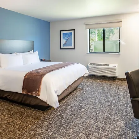 My Place Hotel-Phoenix East Mesa, Az-3