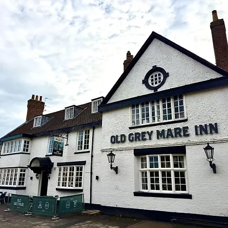 Old Grey Mare-3