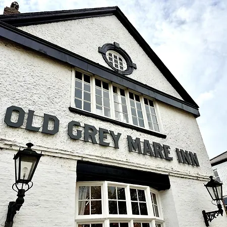 Old Grey Mare-2