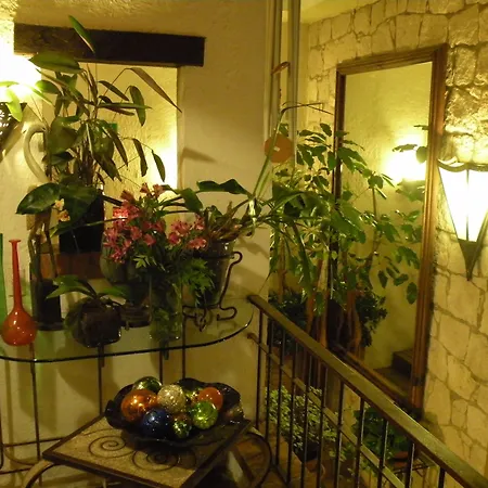 Casa Aurea Hotel Boutique-2