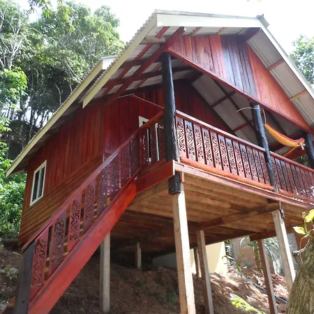Jungle Hill Beach Bungalow-3