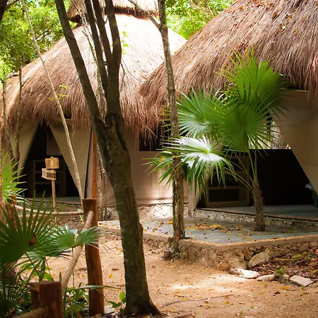 Akumal Natura Glamping-2