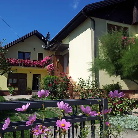 St George B&B-3