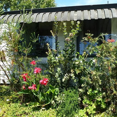 Waitomo Caves Guest Lodge-3