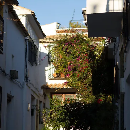 Hotel Abaco Altea-3