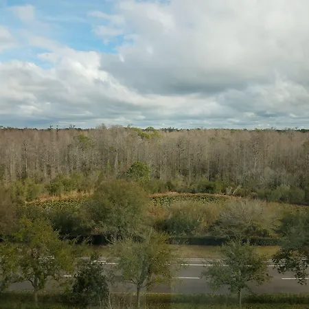 Hilton Garden Inn Tampa Suncoast Parkway-3